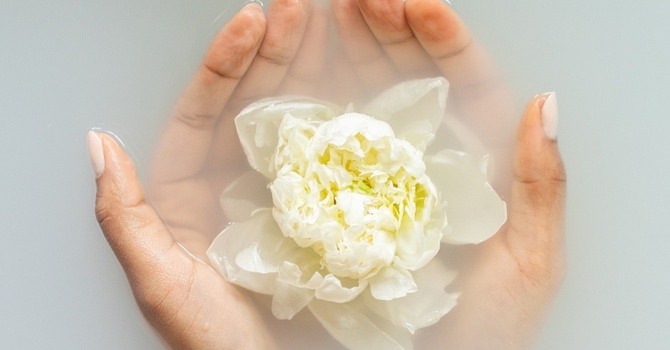 Therapeutic Phlebotomy