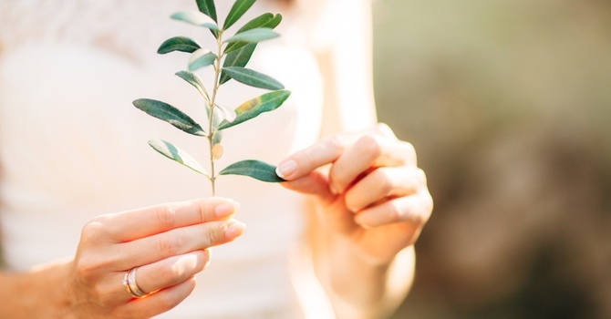 IV Hydration and Ozone Therapy