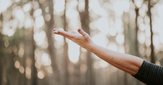 New Patient Assessment